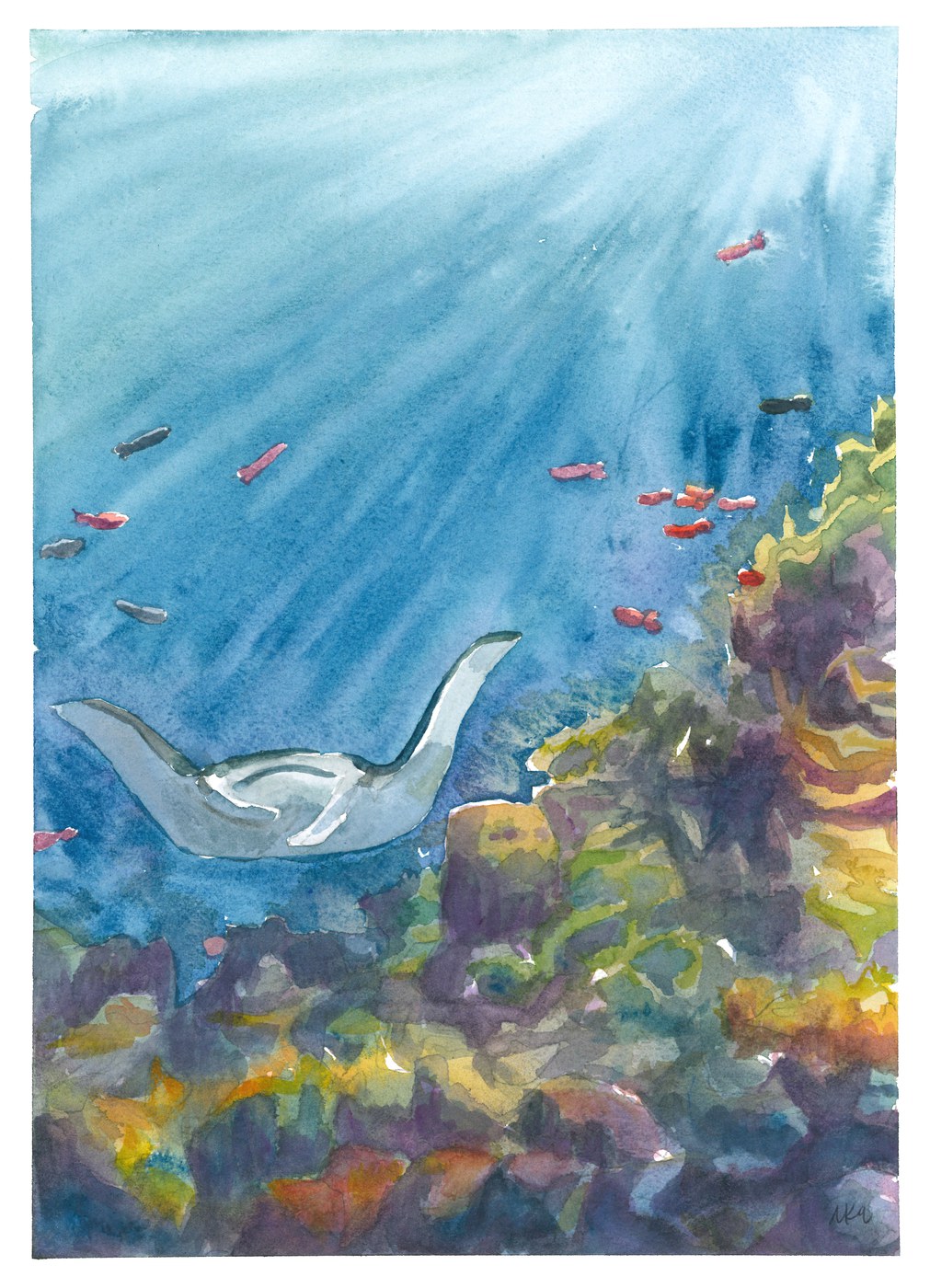 Watercolor of a manta ray swimming over a coral reef