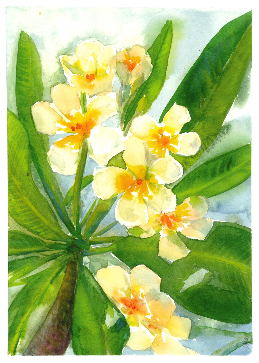Watercolor of pale yellow plumeria blossoms with orange centers against green leaves and blue sky